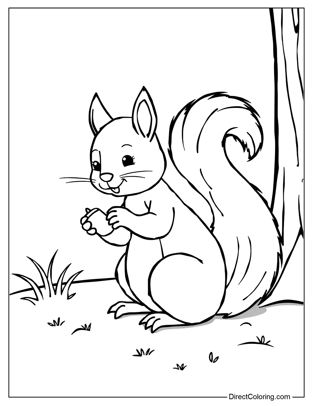 Squirrel Eating a Nut Coloring Page
